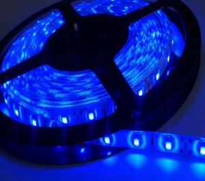 China DC12V Blue color led strip light 60leds/m factory