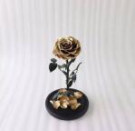 Real Natural Fresh Big Rose Preserved Flower Preserved Everlasting Real Roses in