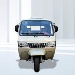 50*100 Chassis Motorized Tricycles for Adults Heavy-Duty 250cc Cargo Tricycles