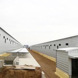 China Multi Storey Prefab Steel Structure Building Chicken House factory