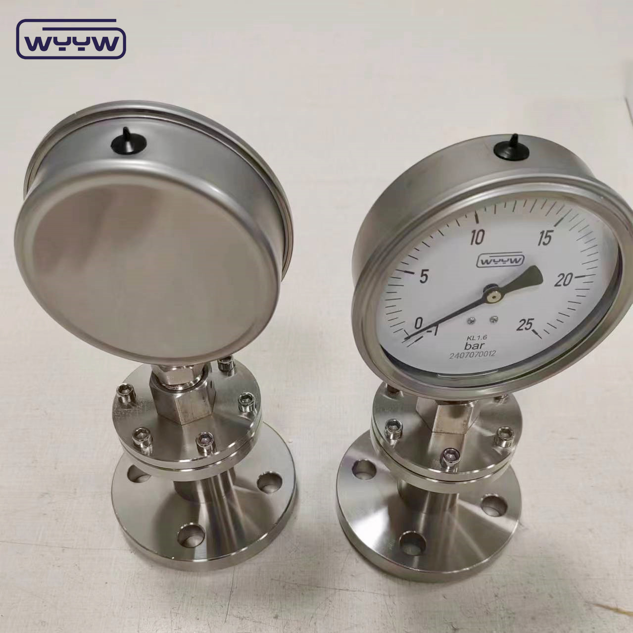 1/4 1/2" Inch NPT BSP Diaphragm Gauge Bottom Connection Location ±2.5% 1.6% Accuracy