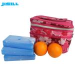FDA Approved HDPE Hard Plastic Cooler Gel Ice Pack Camping Frozen Food For