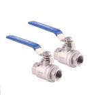 304 Stainless Steel 1/2 Inch FNPT Heavy Duty Full Port Ball Valve with Blue