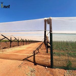 China White Anti Hail Net Customized Garden Windbreak Netting 30gsm - 90gsm factory