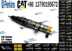 China Fuel Injector CAT 266-4446 387-9432 387-9436 225-0117 236-0957 238-8092 240-8063 242-0857 factory