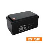 85Ah Solar Lead Acid Battery , Deep Cycle Lead Acid Battery For Solar