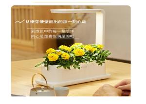China Indoor Garden LED Cabbage PP Hydroponic Grow Kit factory