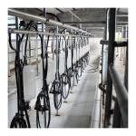 Big 110v 20 Stalls Herringbone Milk Parlor For Cow Milking