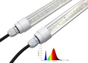 China 80w LED Plant Growth Lamp 0.6m Led Grow Light T8 Full Specturm factory