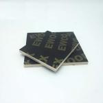 Square Black Film Faced Plywood Poplar / Pine / Birch Core Flat And Smooth