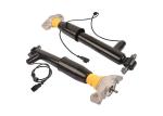 Rear Left Right Shock Absorber Struts Assy DG9Z18125A DG9Z18125C For Lincoln MKZ