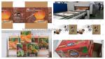 Flexo Plate High Definition Multicolor Printing Slotting Rotary Die Cutting