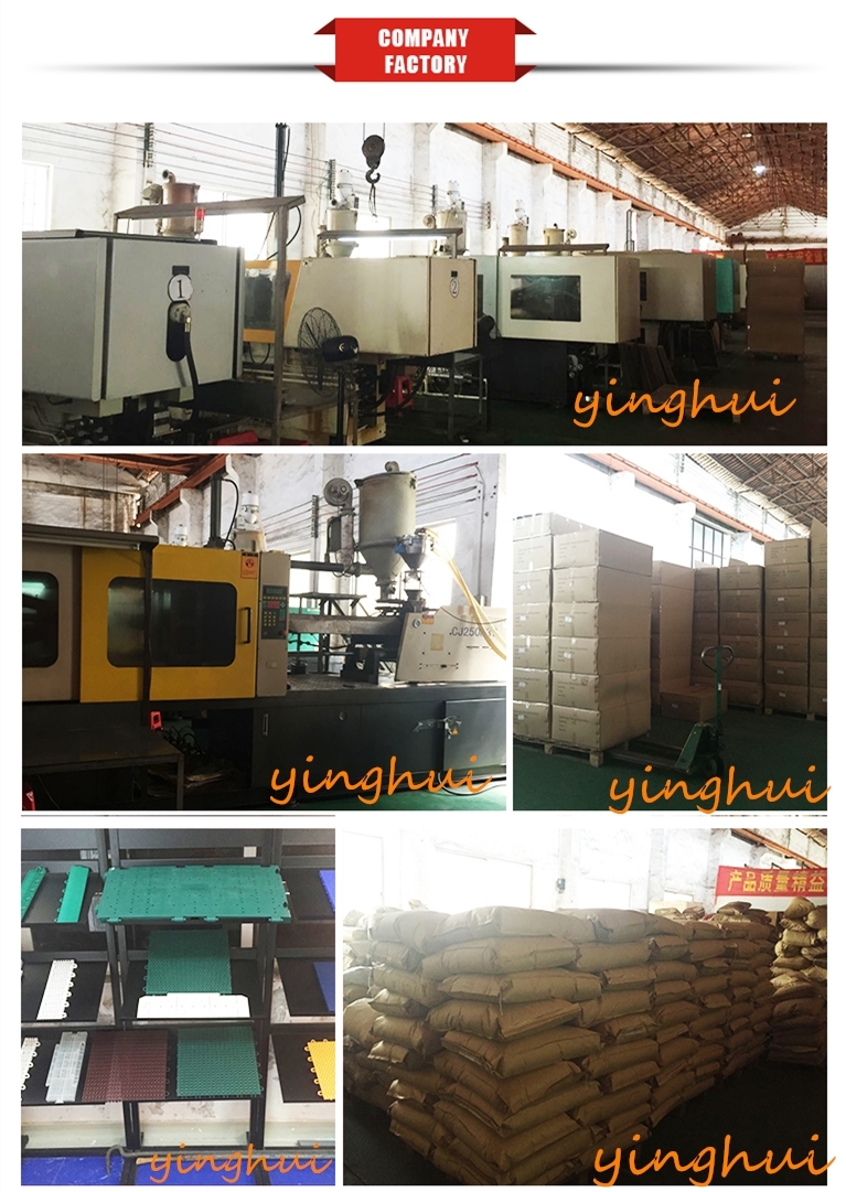 Guangdong Lokang Sports Technology Co., Ltd.