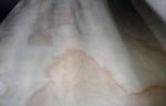 Yellow White Rotary Cut Pine hardwood veneer sheets Plywood With AAA Grade