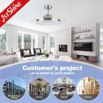 Simple Plastic Ceiling Fan with Light 42" Blade Size 110-240V/50Hz-60Hz Input