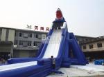 Commercial Giant Sharp Long Inflatable for Kids / Adult Aqua Park