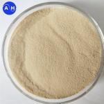Xylo-Oligosaccharides Prebiotic Aquaculture Feed Additives