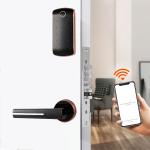 Mifare Remote Access Door Lock Sus304 Security Digital Lock