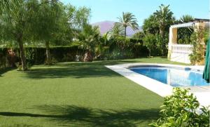 China Garden Artificial Landscape Grass factory