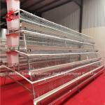 5 Tiers 450cm2 Galvanized Layer Battery Cage System Egg Laying Hens Emily