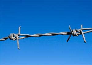 China BWG12 BWG14 Fence Galvanized Barb Wire Roll factory