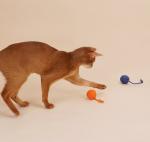 Interactive Catching Rope Ball Toys For Cats With Bell For Indoor