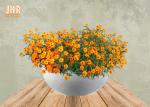 Waterproof Fiberclay Pot Planter Clay Flower Pots White Black Gray Color Round