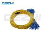 12 Cores Fiber Optic Patch Leads SC/PC/UPC/APC Fiber Optic Patch Cable