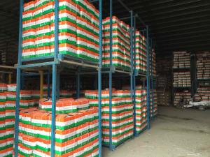 China Professional supplier garlic wholesale chinese normal white garlic fresh garlics factory