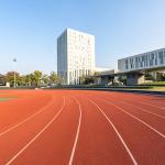Soundproof Synthetic Sports Flooring Colorful Polyurethane Binder EPDM Rubber