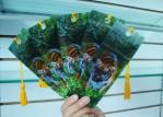 PLASTIC LENTICULAR 3D changing flip zoom morph move animation combination effect