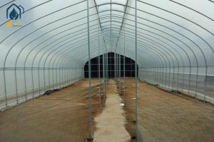 China Durable Single Span Tunnel Greenhouse For Hydroponic Vegetable And Fruit Planting factory