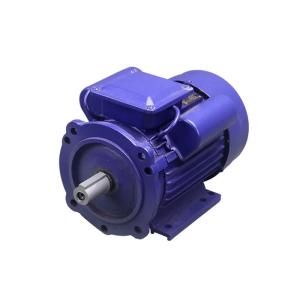China 1 HP 4 Pole Single Phase Induction Motor 1440 Rpm factory