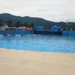 Air Blast Type Large Swim Wave Pool Machine Environmental Friendly