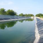 Smooth Surface HDPE geo membrane 500 micron Black Shrimp fish pond liner Length