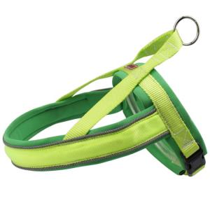 China Nylon Adjustable Light Up Led Dog Harness Rechargeable Soft Outdoor Flashing factory