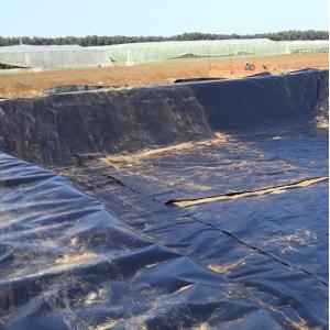 Long-Lasting HDPE Geomembrane for Asian Design Style Pond Lining in Other