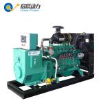 Factory directly sale CNG natural gas generator 20kVA for sale