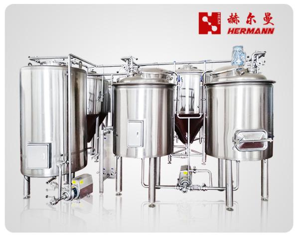 300L Commercial Beer Brewing Equipment