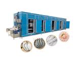 Frozen Vegetables Processing Line Belt IQF Freezer With Stainless Steel 304