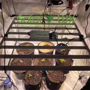 China Full Spectrum LED Grow Light Meanwell 600w Samsung High Efficicency LED Horticulture Grow Lights factory