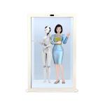 Wholesale 3D Holographic Capsule Transparent Screen Display Cabinet, Supporting