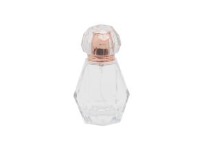China 100ml Clear Various Shapes Pump Mist Spray Bottle With Caps factory