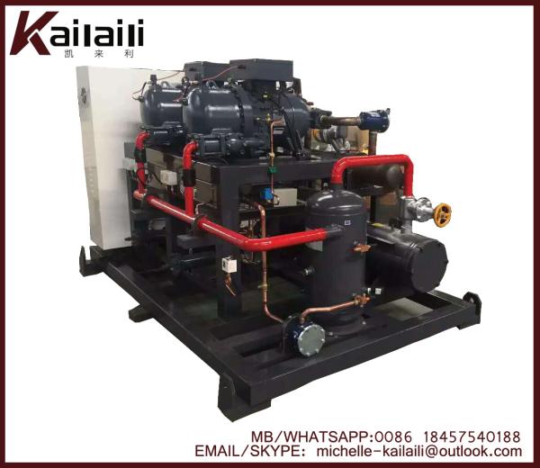 Hanbell Screw Paralleled Racks Condensing Unit /Refrigeration system