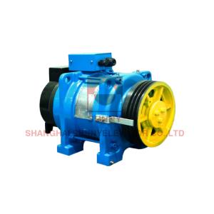 China Machine Single Wrap Load 250kg Home Elevator Motor With 20 Poles on sale