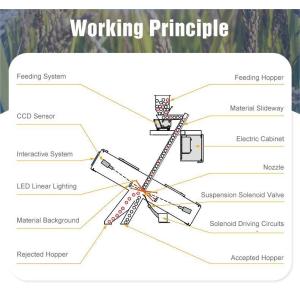 WENYAO High-Speed Sorting Adjustable Parameters for Grain Sorting Lines Optical