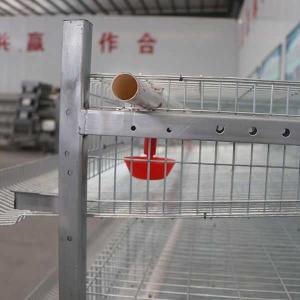 China U Shape Steel Frame Quail Cage Corrosion Resistance Surface High Performance factory
