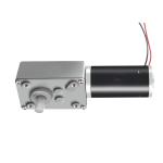 20 Inch Worm Gear Motor Customize 12v 24v For Conveyor Belt