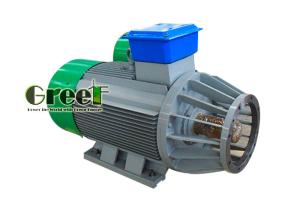 China Low Strat Torque Permanent Magnet Low Rpm Generator Free Energy Waterproof factory