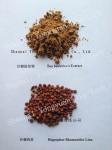 Antihyperlipidemic, NattaKinase 20000fu/g, 5000fu/g, Seabuckthorn Extract,